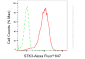 KO-Validated Anti-Serine/Threonine Kinase 3 Rabbit Monoclonal Antibody