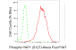 KO-Validated Anti-Phospho-YAP1 (S127) Rabbit Monoclonal Antibody