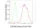 KO-Validated Anti-EIF2AK2 Rabbit Monoclonal Antibody