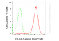 KO-Validated Anti-ROCK1 Rabbit Monoclonal Antibody