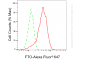 KO-Validated Anti-FTO Rabbit Monoclonal Antibody