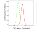 KO-Validated Anti-FTO Mouse Monoclonal Antibody