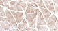 LDHA Recombinant Rabbit mAb